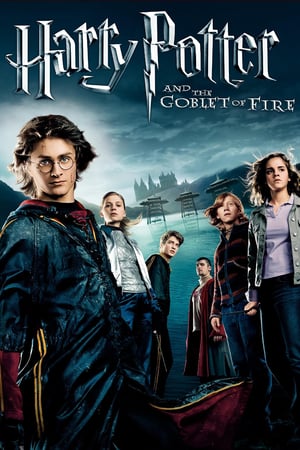 Harry Potter and the Goblet of Fire (2005) Sub Indo